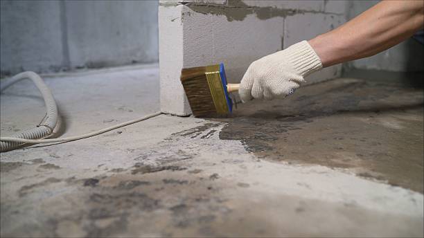 SJ Waterproofing Pros Emergency Waterproofing coverage map for Walton, IN and surrounding area